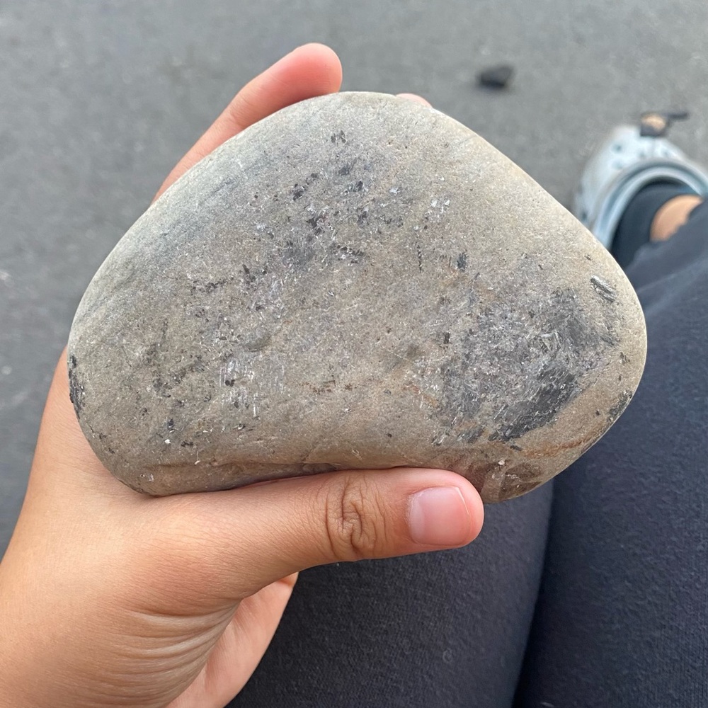 Pet rock